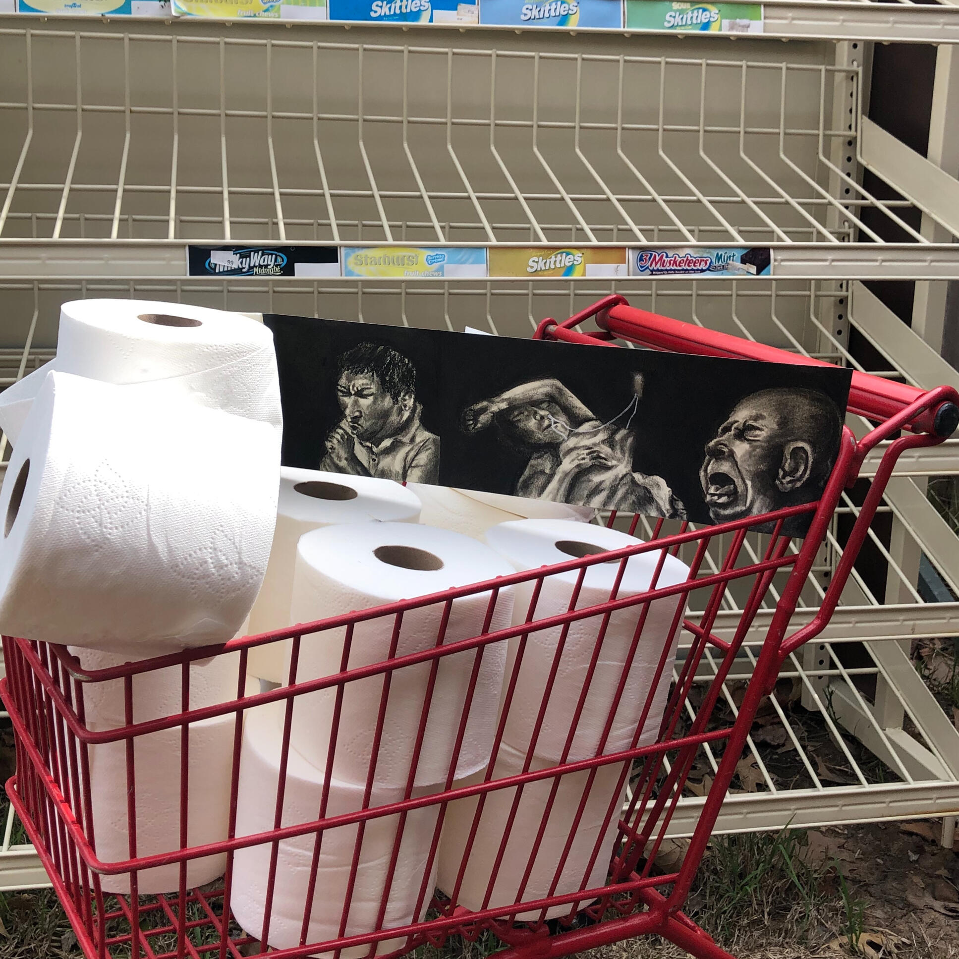Flushing Away Coronavirus (toilet paper, charcoal, shopping cart)